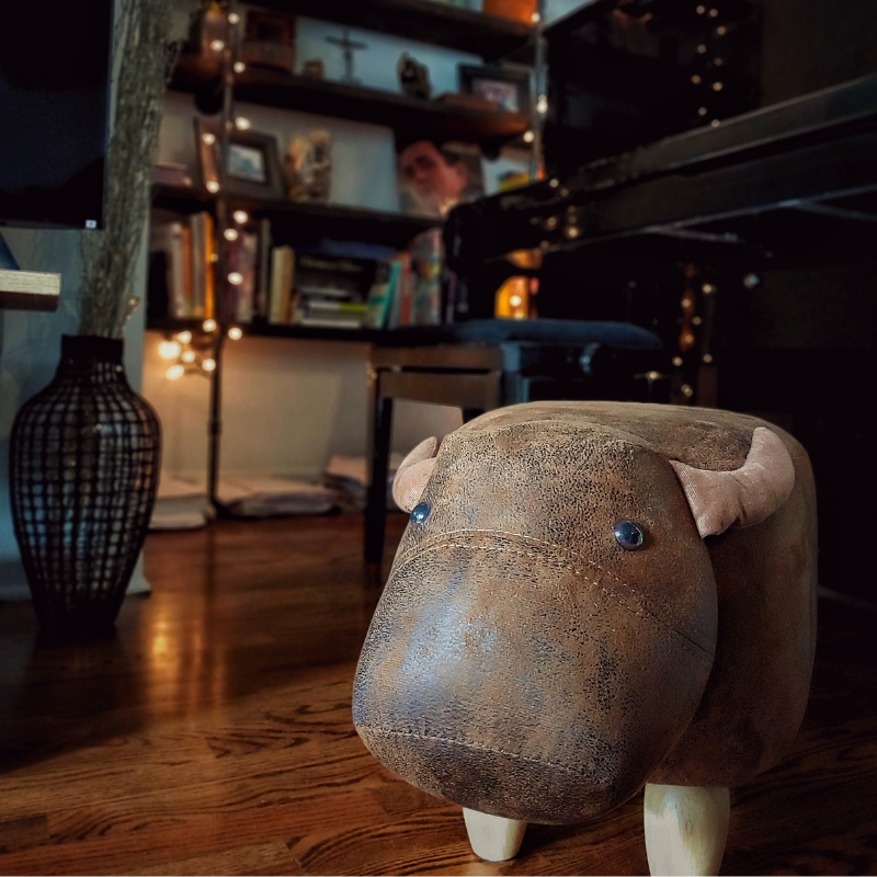 CuddleCow™ Ottoman Storage Footstool