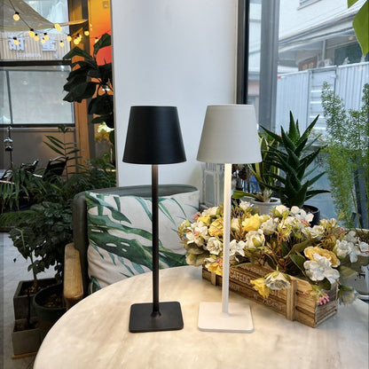 Cordless Radiance™ Table Lamp